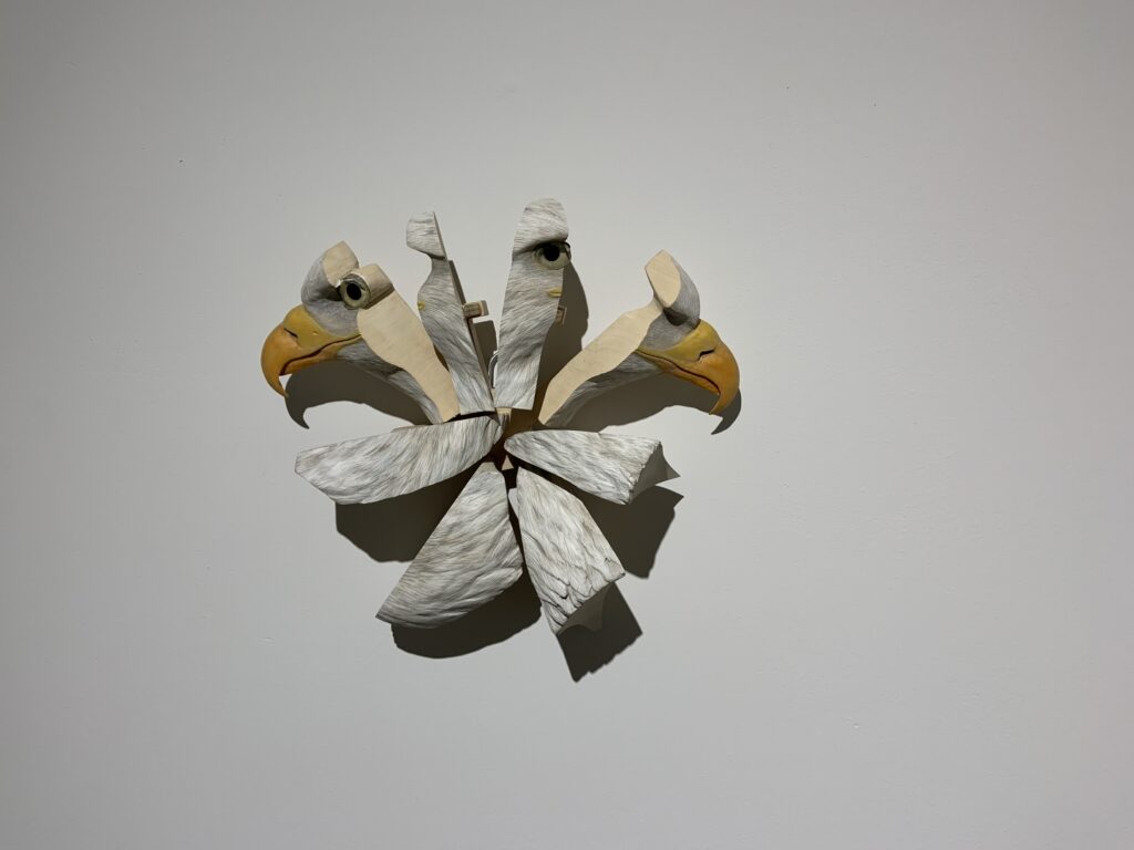 Pareil pas pareil img 5941 1440x1080