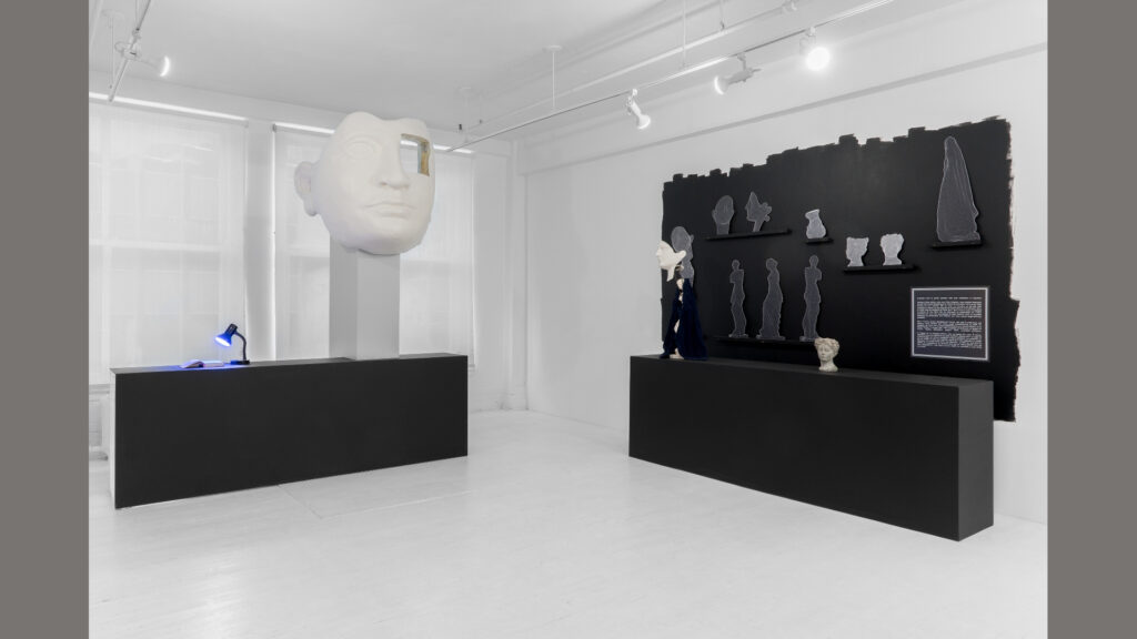 montage vue tet cari