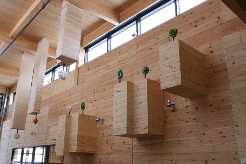 la croissance temps0025 1620x1080